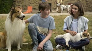 Lassie: Una nueva aventura — foto 8