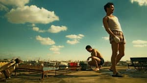 Happy together — foto 1