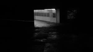 The Better World — foto 9