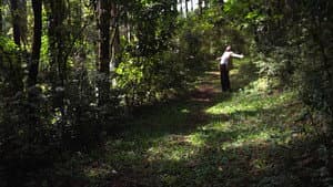 Cidade Natureza — foto 1