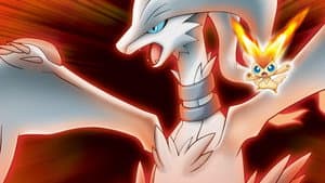 Pokémon, la película: Negro - Victini y Reshiram — foto 1