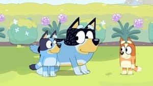 Perroveja