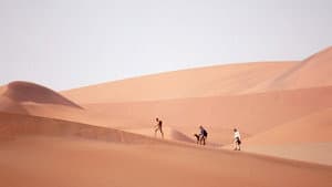 A Far Off Place — foto 1