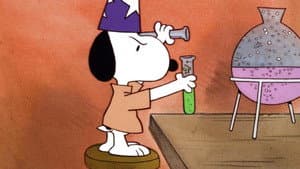 It's Magic, Charlie Brown — foto 2