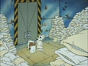 Episodio 5
