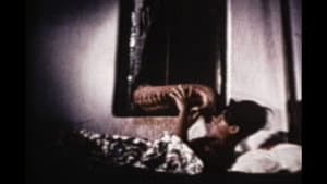 The Hundred Videos #3 — foto 7
