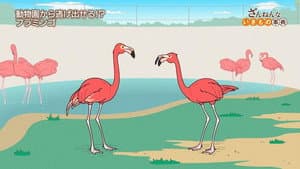 Episodio 21