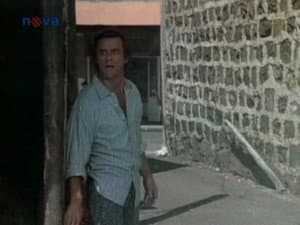Episodio 26