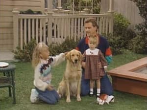 Y le llaman amor de cachorros