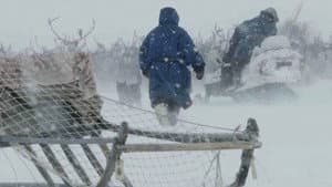 Gaz russe, la dernière route des Nenets — foto 2