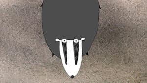 Badgered — foto 4