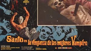 La Venganza de las Mujeres Vampiro — foto 1