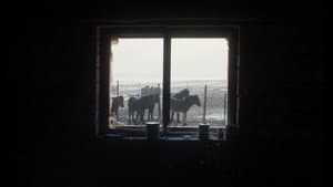 一匹白馬的熱夢 — foto 9