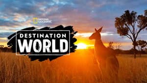 Destination World — foto 3