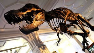 How to Build a Dinosaur — foto 1