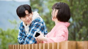 薔薇とチューリップ — foto 5