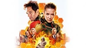 Ant-Man 2: La Avispa — foto 5