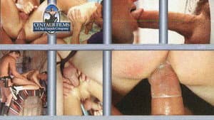 Hot Cops 4: Bustin' Loose — foto 1