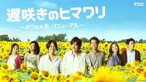 遅咲きのヒマワリ～ボクの人生、リニューアル～ — foto 4