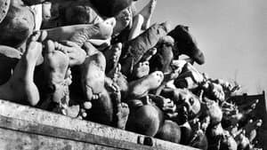 Histories of the Holocaust:Buchenwald — foto 1