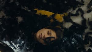 All the World Is Sleeping — foto 1