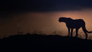 Kalahari: Land of Secret Alliances — foto 1