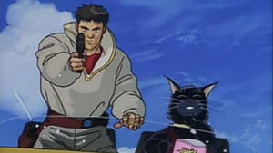 敵は海賊 ～猫たちの饗宴～ — foto 1