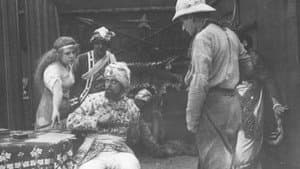 The Leopard's Foundling — foto 1