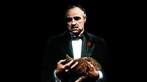 El Padrino — foto 5