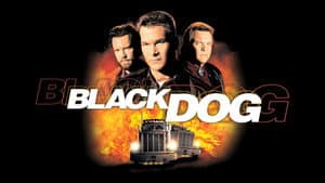 Black Dog — foto 7