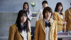 シグナル100 — foto 4