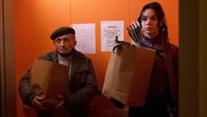 Somos compañeros, ¿verdad?