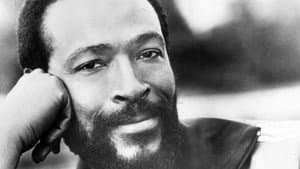 Marvin Gaye: The Real Thing - In Performance 1964-1981 — foto 1