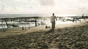 Saudó, laberinto de almas — foto 1