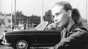 Autotytöt — foto 1