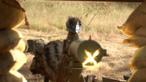 The Emu War — foto 4