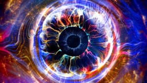 Big Brother — foto 1