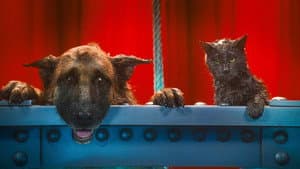 Como perros y gatos 2: La venganza de Kitty Galore — foto 8