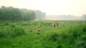 The Midsummer's Voice — foto 1
