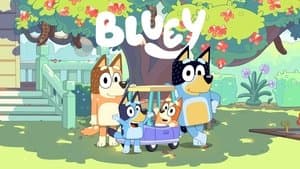Bluey — foto 2