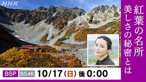 絶景満喫!北アルプス 涸沢カールの紅葉 — foto 2