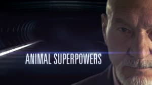 Animal Superpowers — foto 4
