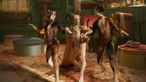 Cats — foto 3