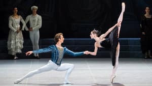 Swan Lake — foto 1