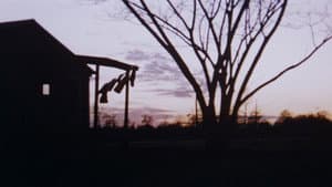 The Legend of Boggy Creek — foto 11