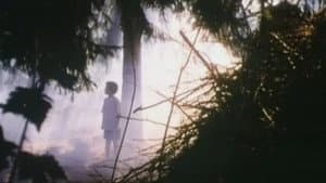 Svampe — foto 1