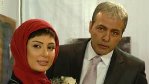 پرتقال خونی — foto 1