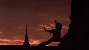 Kickboxer — foto 6