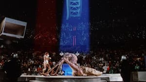 Arena — foto 10