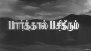 பார்த்தால் பசி தீரும் — foto 1